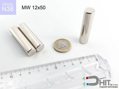 MW 12x50 N38 - magnesy neodymowe walcowe